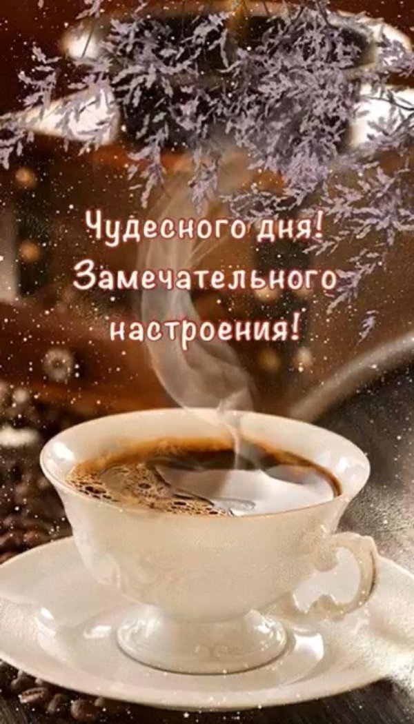 добрый день прекрасного дня