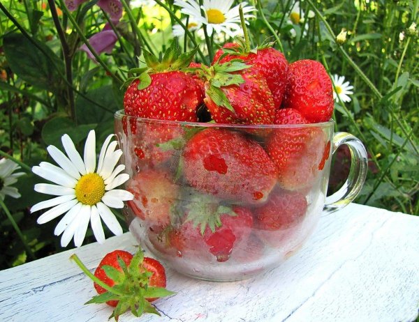 доброе утро земляника