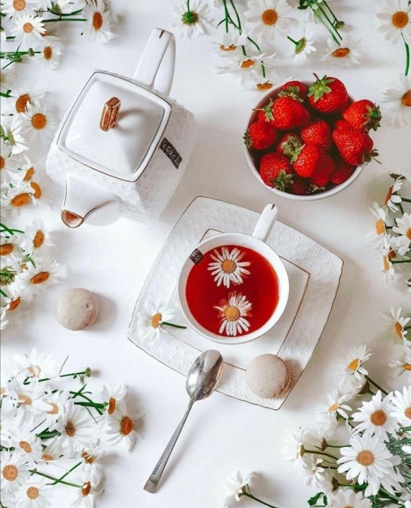 доброго июньского утра