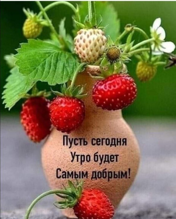 доброе утро с земляникой