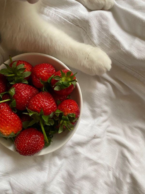 блюда из клубники