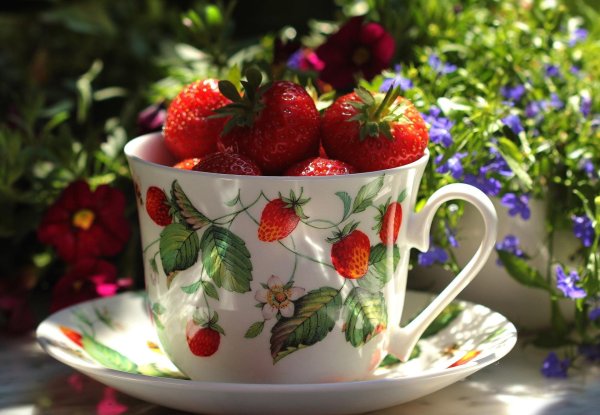 доброго утра летнего