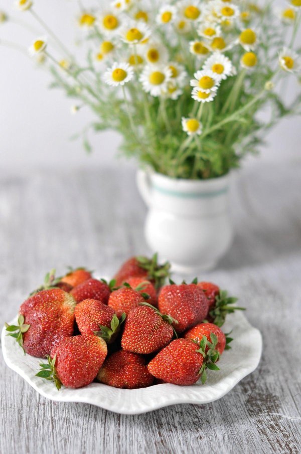 клубника сорт