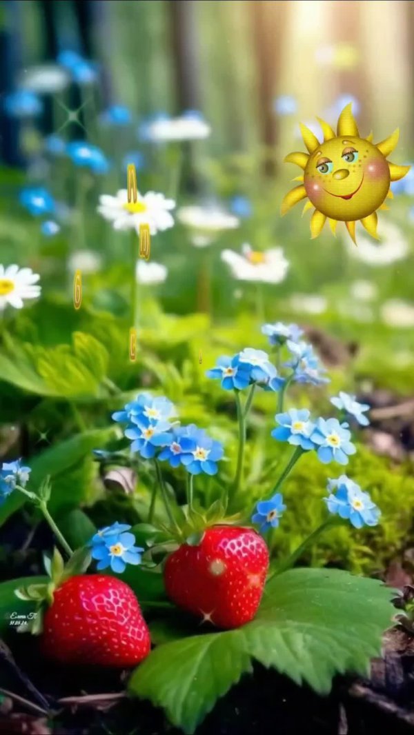 цветы природа