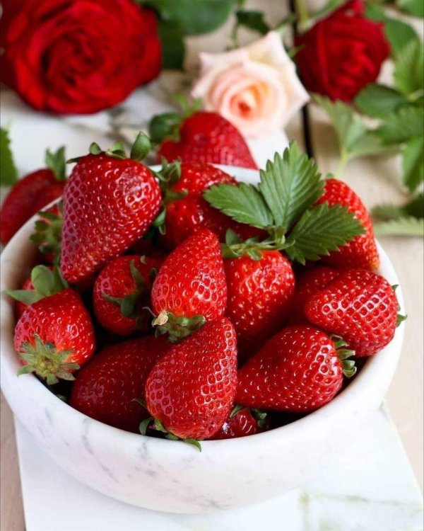 клубника эльсанта