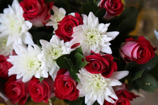 хризантемы и розы