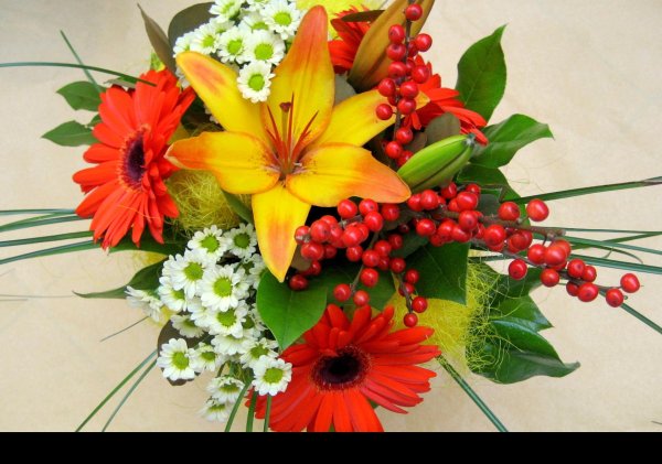 цветы для организации