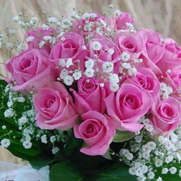 открытка с розами