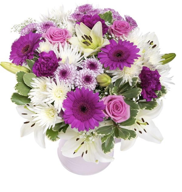 герберы и хризантемы