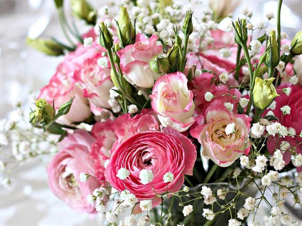 цветок ранункулюс