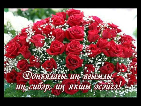 туган конон менан