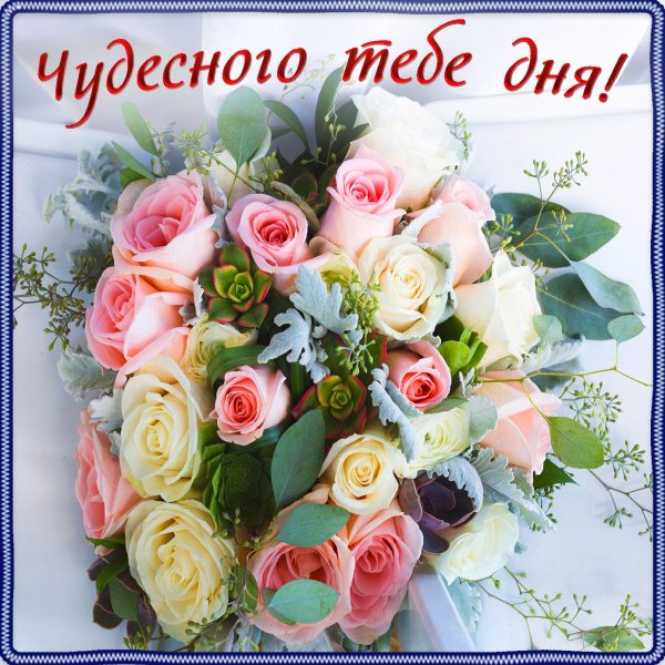 открытки с цветами добрый день