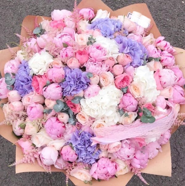 цветы астана