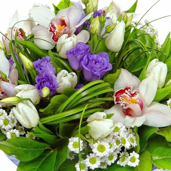 лизиантусы цветы