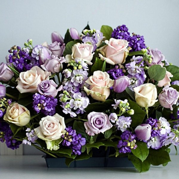 эустома rosie lilac