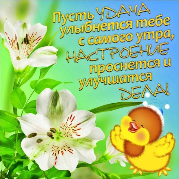 с добрыми пожеланиями