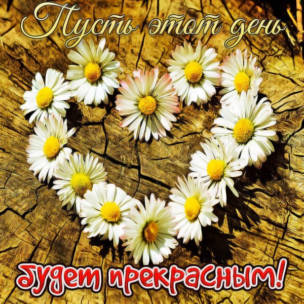 сердечко из ромашек