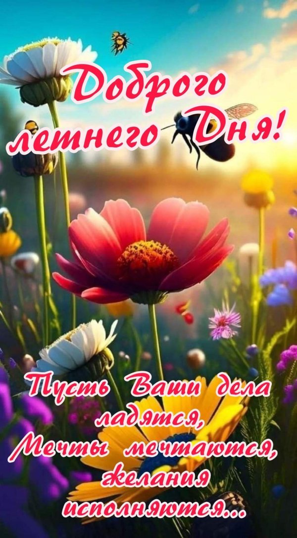 доброе доброе утро и хорошего дня летние позитивные