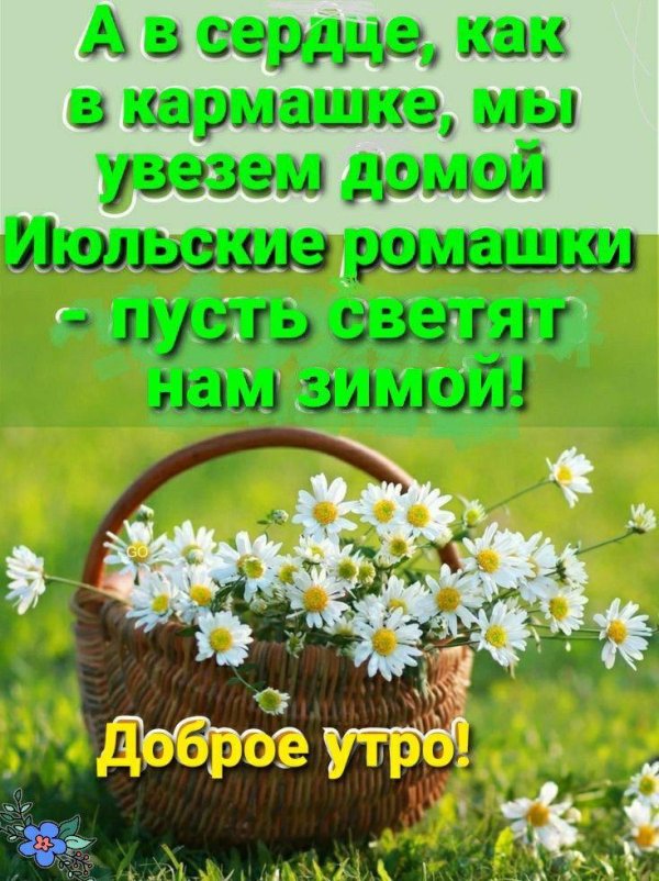 с ромашками