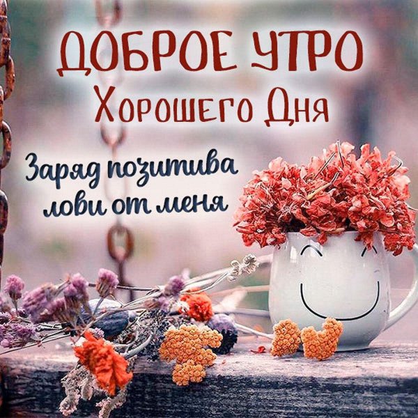 добрейшего утра хорошего дня