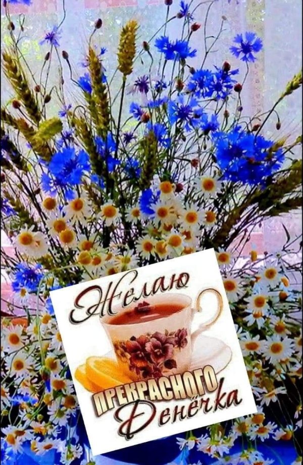 букеты полевых цветов с пожеланием доброго утра