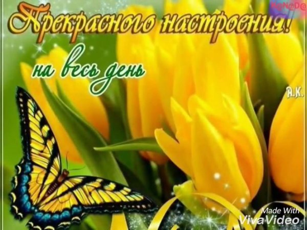 яркого дня и хорошего настроения