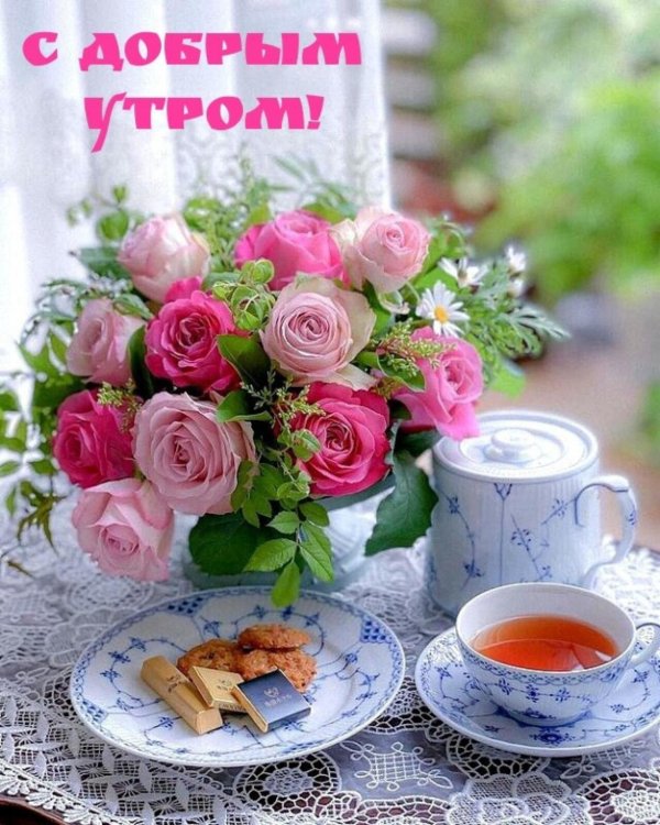 утренние цветы