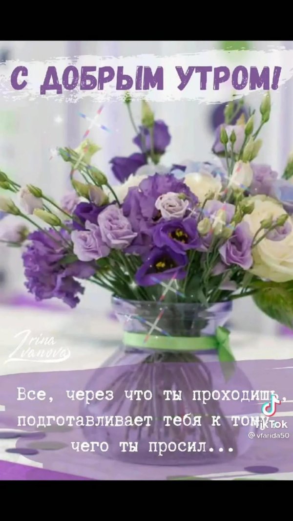 утром доброе