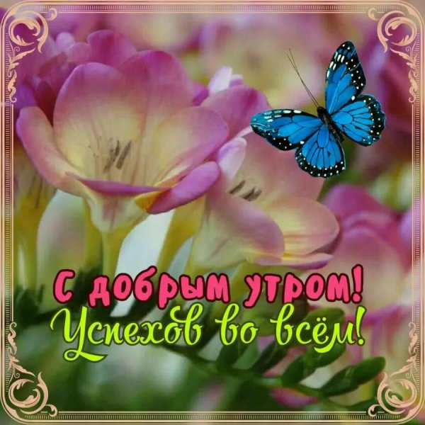 красивое пожелание доброго дня
