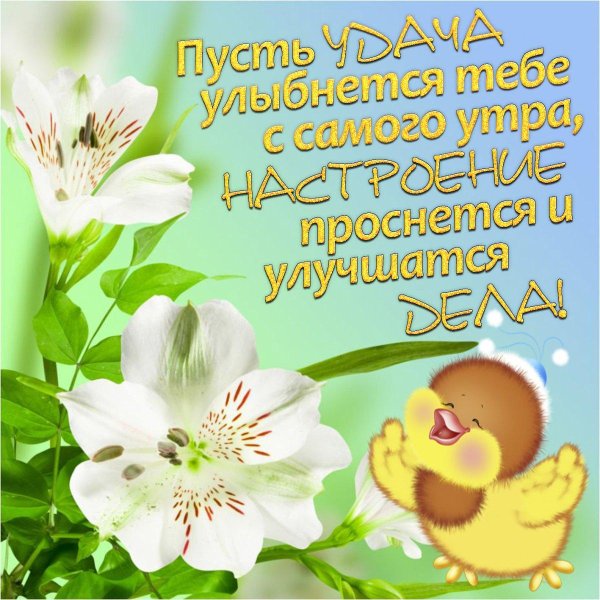 с добрыми пожеланиями