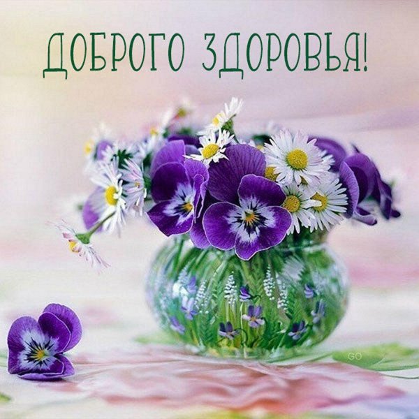 анютины глазки