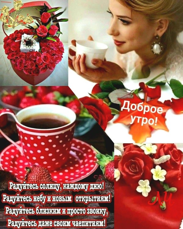 добрый день доброе утро