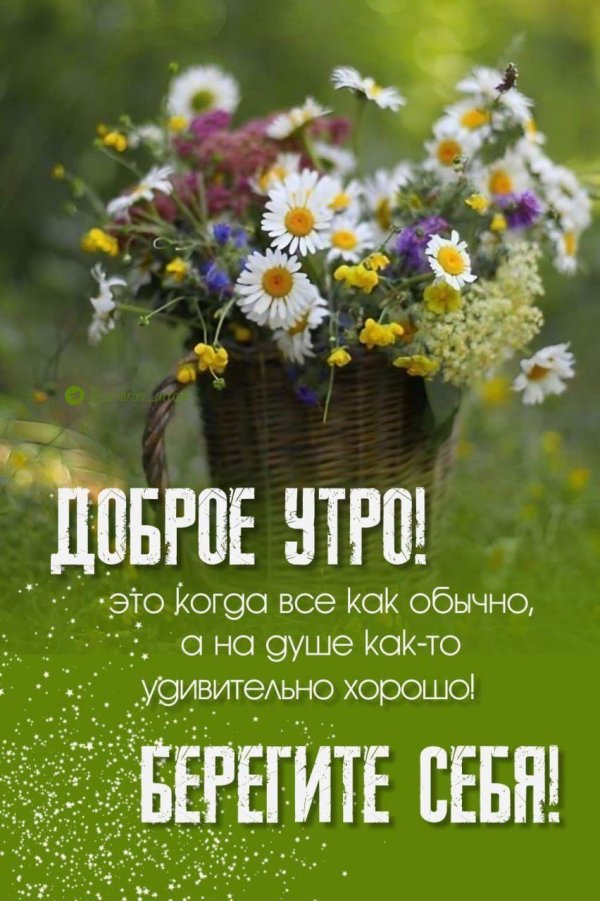 доброго утра летнего