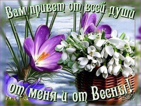 весенний привет