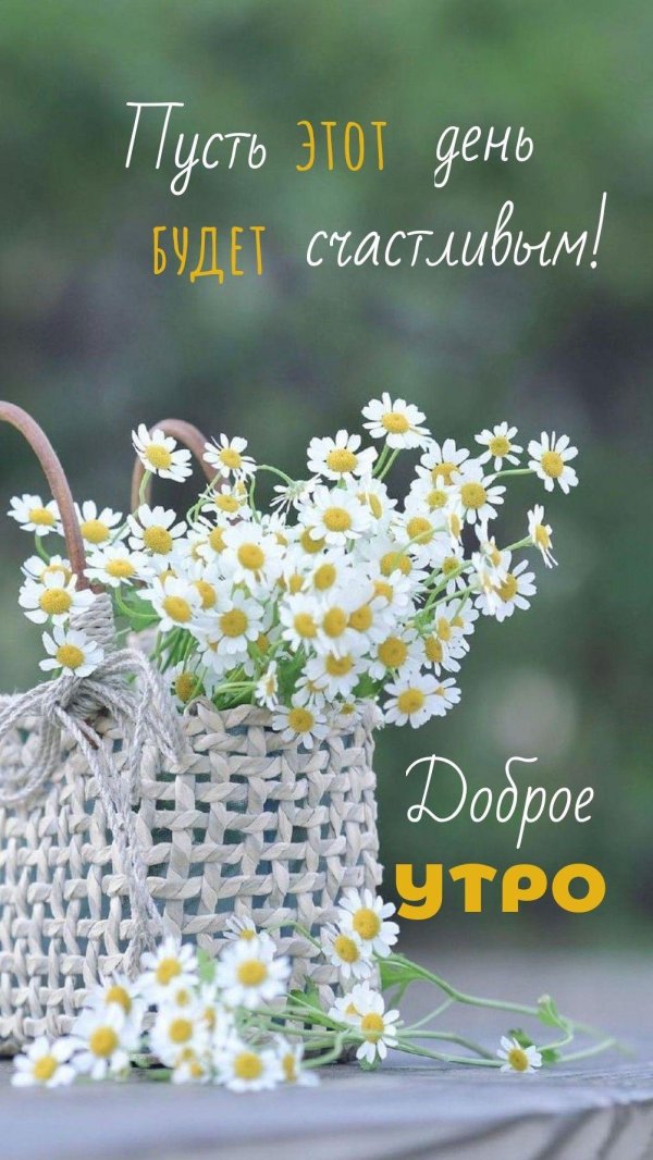 летнее утро доброе