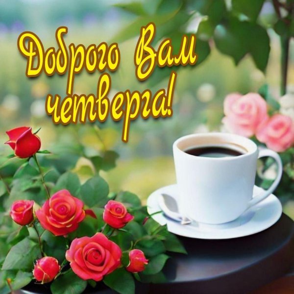 утро четверг