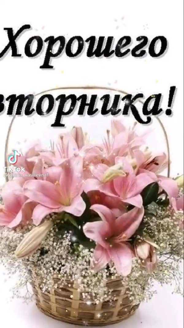 добрейшего вторника