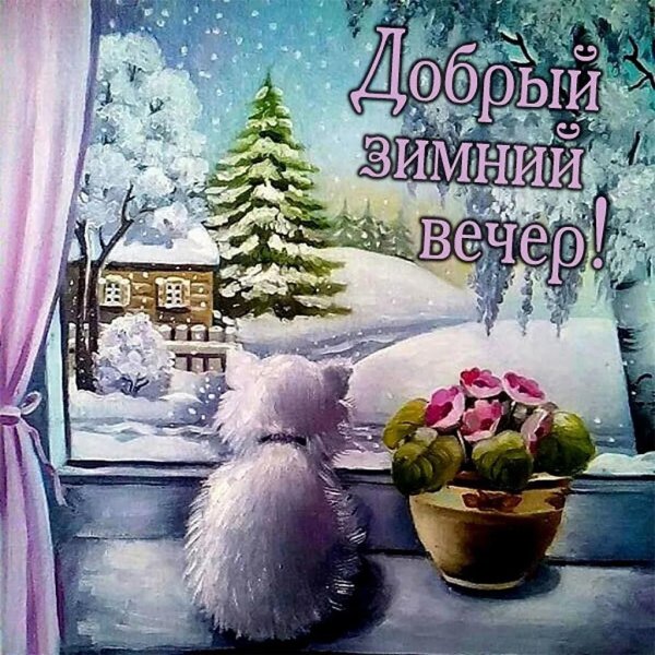 добродоброго зимнего вечера