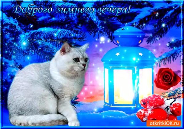 открытки с добрым вечером зимние красивые