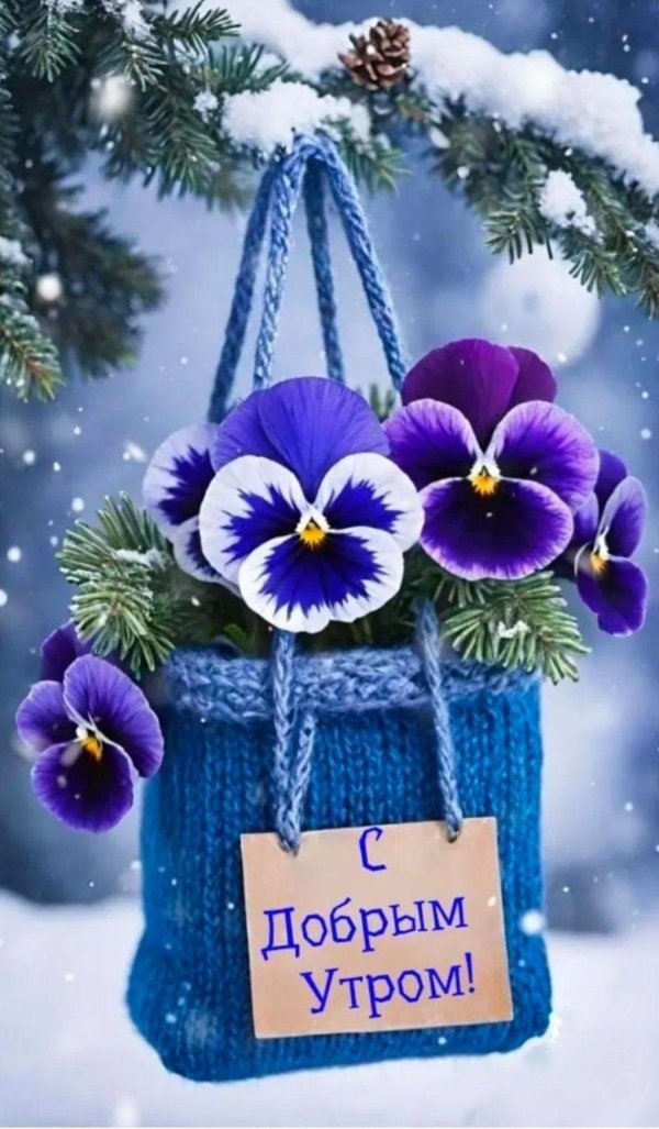 открытка зимняя с добрым утром
