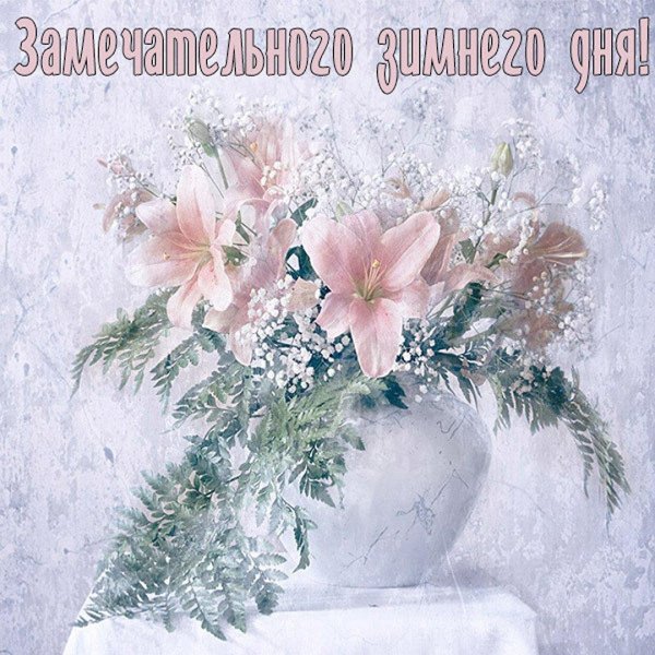 красота лилии