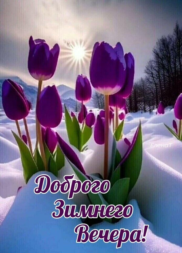 Добрый зимний вечер женщине с цветами