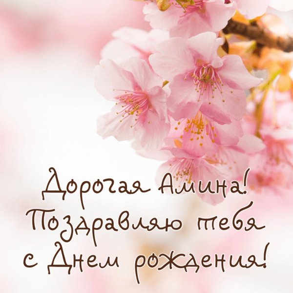 розовые цветы