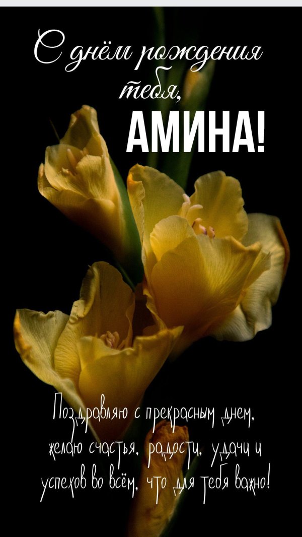поздравления с днем рождения амине