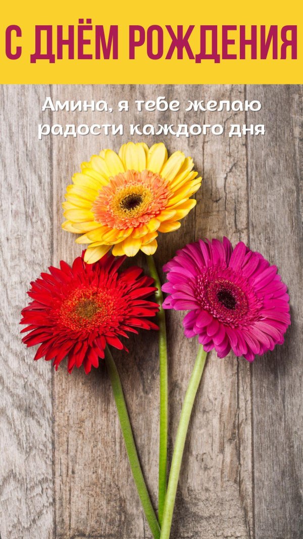 поздравления с днем рождения амине