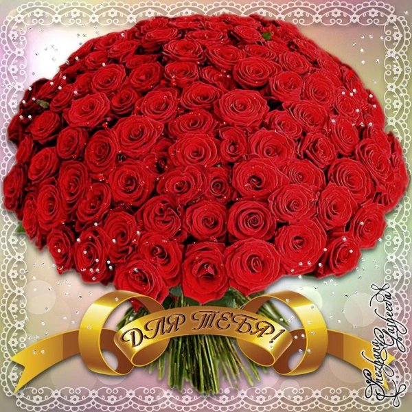 большие букеты роз