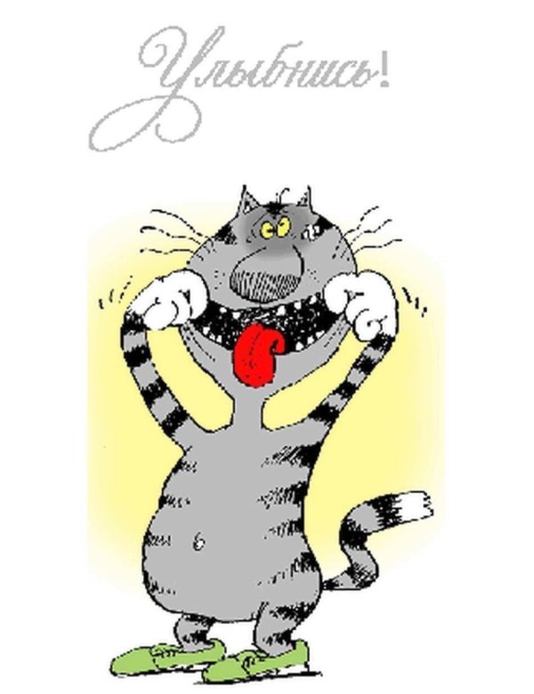 котяра рисунок