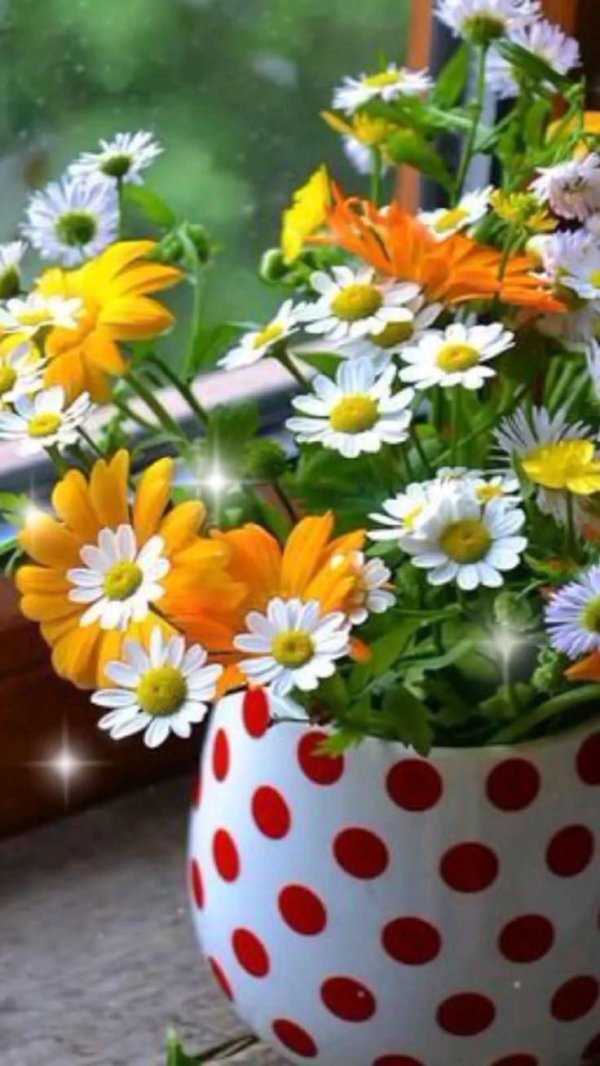 летние букеты