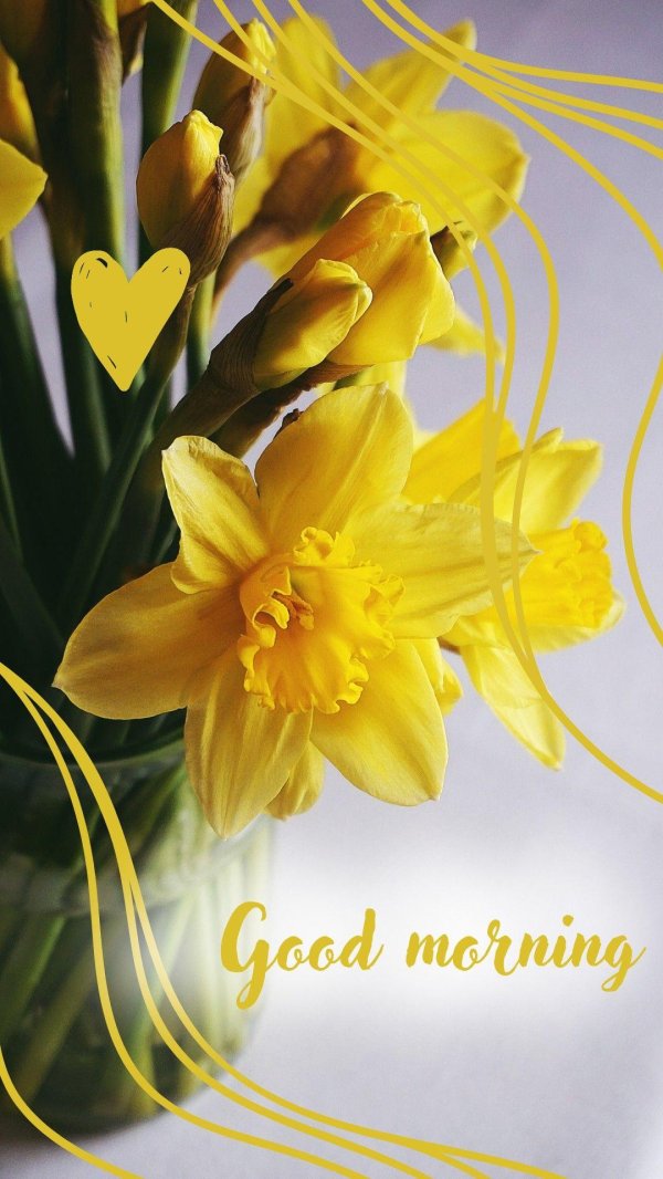 цветок нарцисс