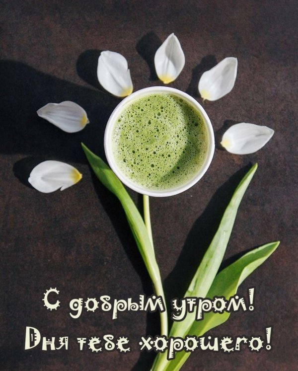 доброго утра летнего